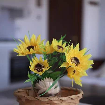 Bed and Breakfast Etna Sea House Κατάνια