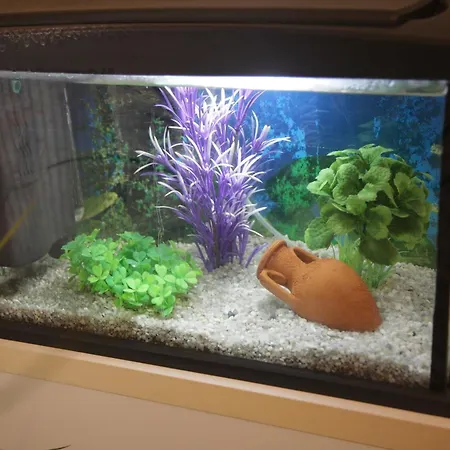 Bed and Breakfast Etna Sea House Κατάνια