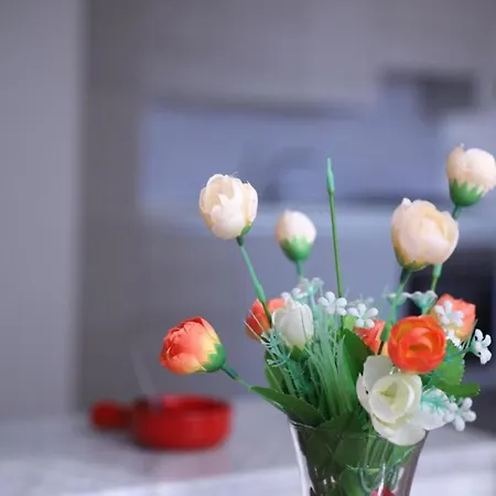 Etna Sea House 4* Κατάνια